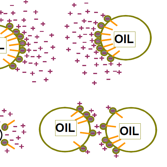 The Future of Skin Health Lies in the Microbiome The Future of Skin Health Lies in the Microbiome